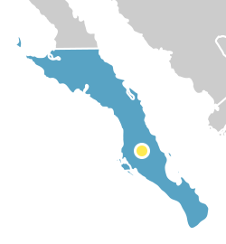Contorno del estado de Baja California Sur